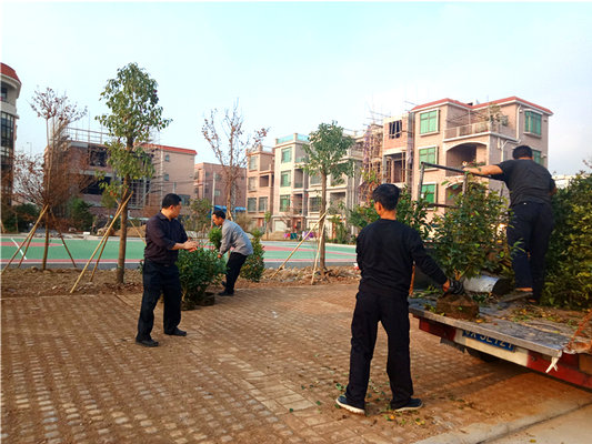 龍江：今年預計新建80個貼心公園