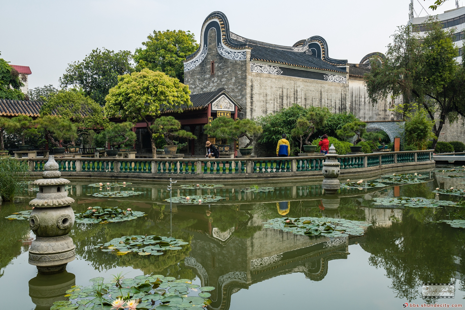 秀外惠中-順德十大古建之碧江金樓