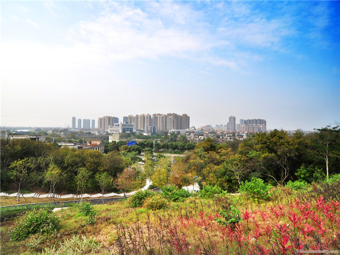 驚了！都寧崗森林公園居然變了這么多？