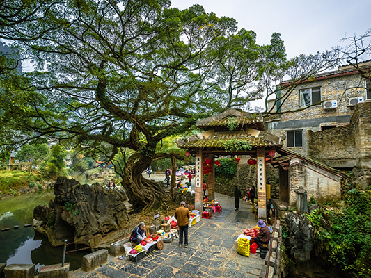 壹周美圖：留住你我眼中的斑斕萬(wàn)色
