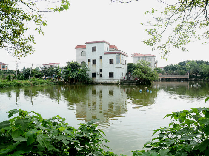 龍江：宜居社區+綠色村莊，爭取全覆蓋