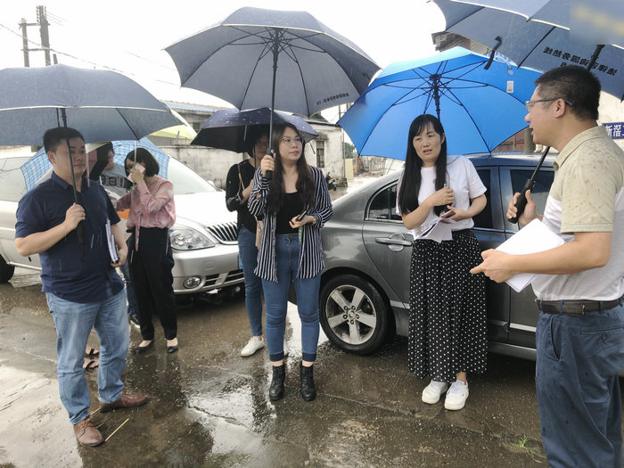 建設高質量發展綜合示范區，順德有這樣一支鐵軍