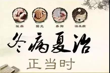 冬病夏治正當時，三伏天灸莫錯過！