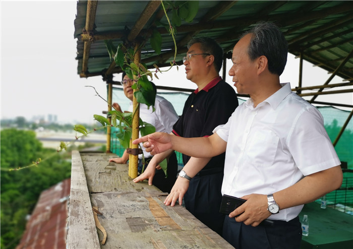 魯毅到順德區調研，要求保護傳承傳統文化