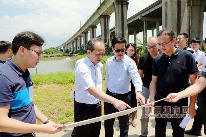 市委常委、順德區委書記郭文海率隊實地調研順德港片區規劃情況。 （順德檔案館 葉偉濤攝）.jpg