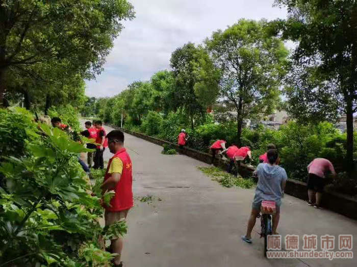 馬東村志愿者清楚路邊雜草_副本.jpg