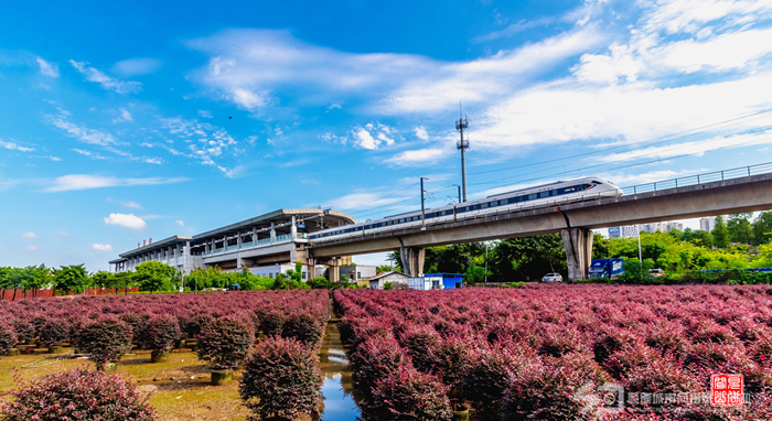 壹周美圖：列車(chē)橫空飛馳，更顯風(fēng)光無(wú)限