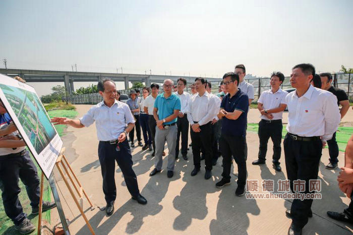 市委常委、順德區委書記郭文海一行實地察看順德港澳城的最新推進情況，現場討論順興大橋的選址論證情況。順德區檔案館葉偉濤攝.jpg