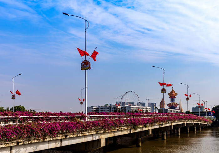 壹周美圖：愿你一路繁花盛開(kāi)，芳香自來(lái)