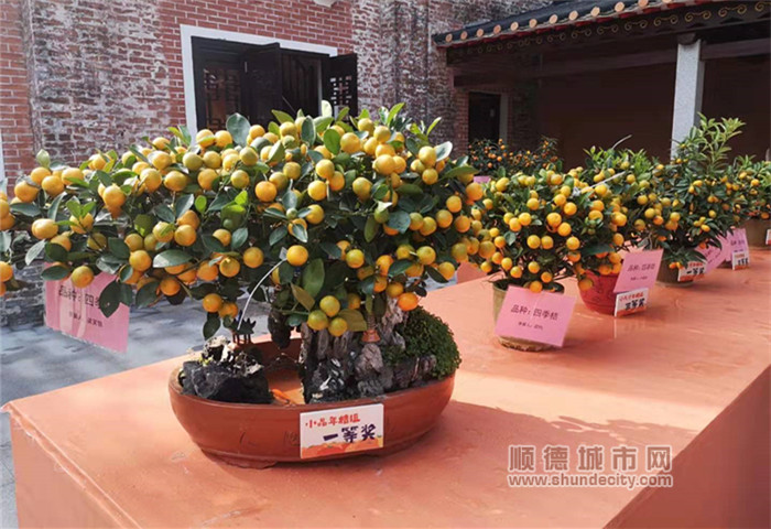 微信圖片_20200104002830_副本.jpg