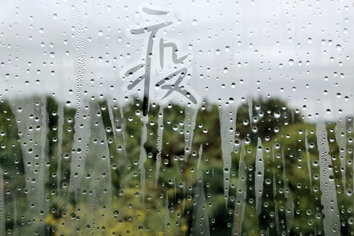 壹周美圖：別急，等到花開疫散再聚！