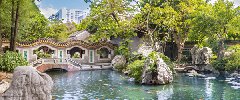 詩配畫|庭園菁菁，步移景換，盡賞詩意