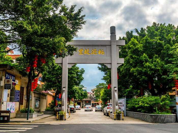 【視頻】“滘”你一起來系列微黨課之愛鄉篇