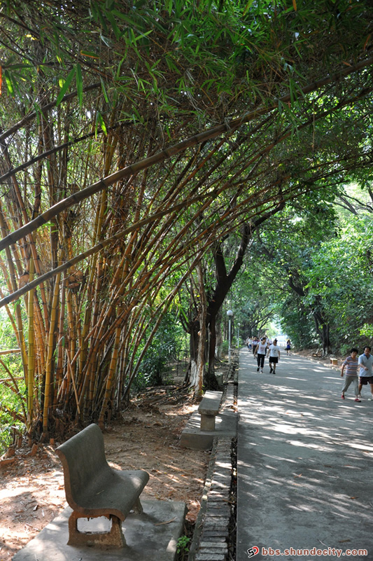 網(wǎng)友分享：容桂大鳳山公園