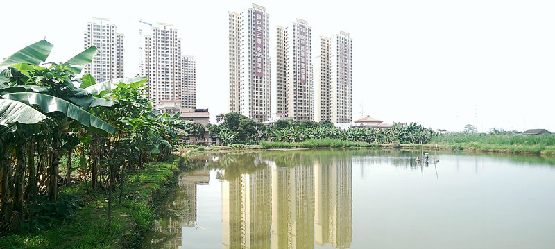 容桂經(jīng)濟(jì)的明顯對比