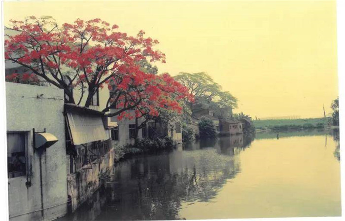 微信圖片_20200416112613.jpg