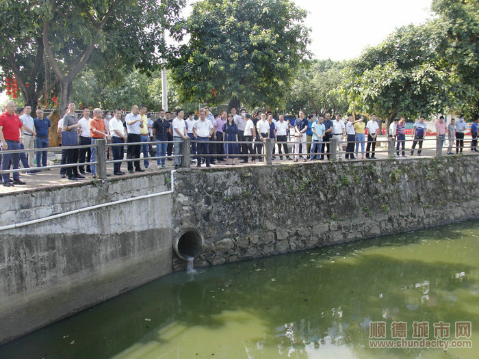 龍江組織各部門、村居巡查河涌問題。.JPG