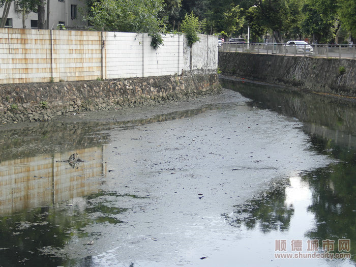 排污口有污水流入，淤泥較深。.JPG