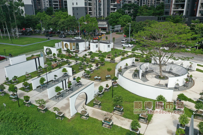 DJI_0895.JPG