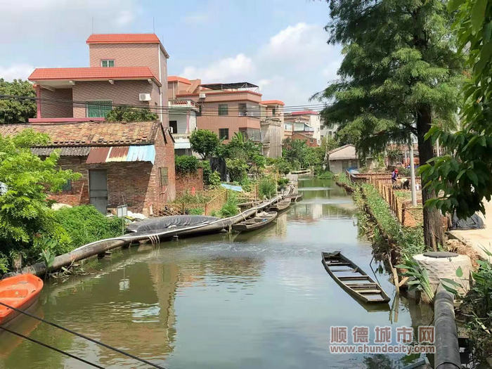 六豐圍涌治理后.jpg