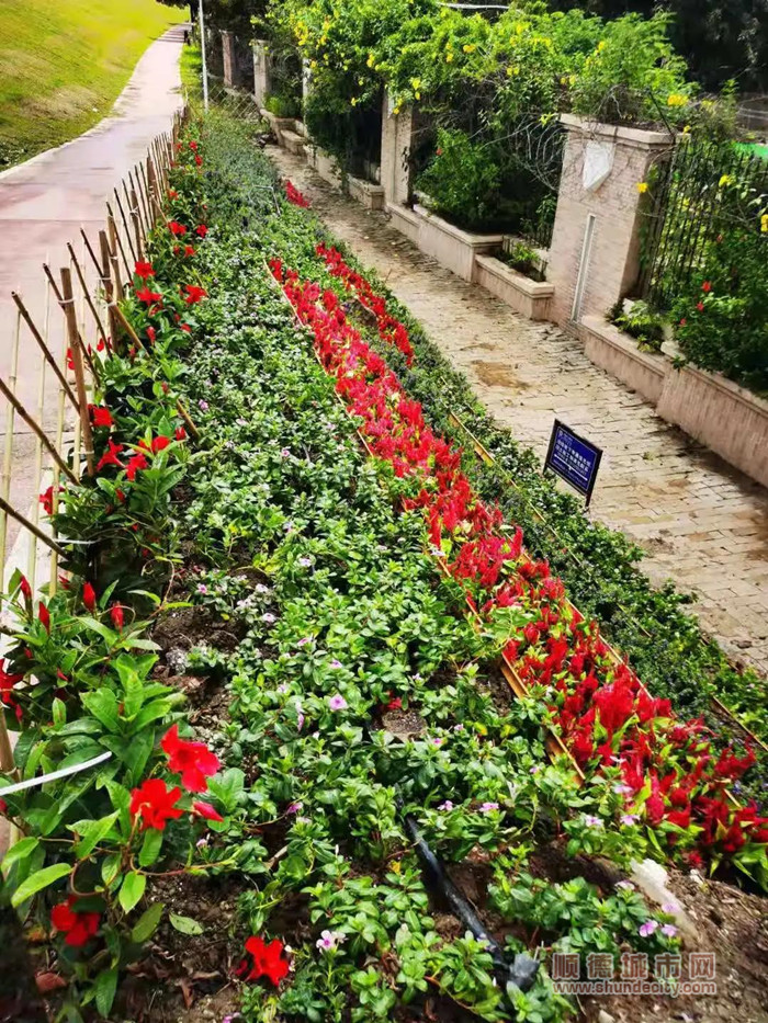 花城社區(qū)小花園_副本.jpg