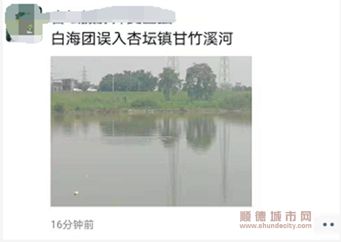 QQ截圖20210726222323_副本.png