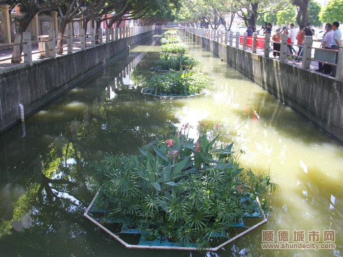 “水中綠島”景觀。.JPG