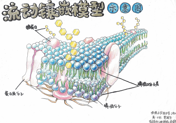 圖片4 - 副本.png