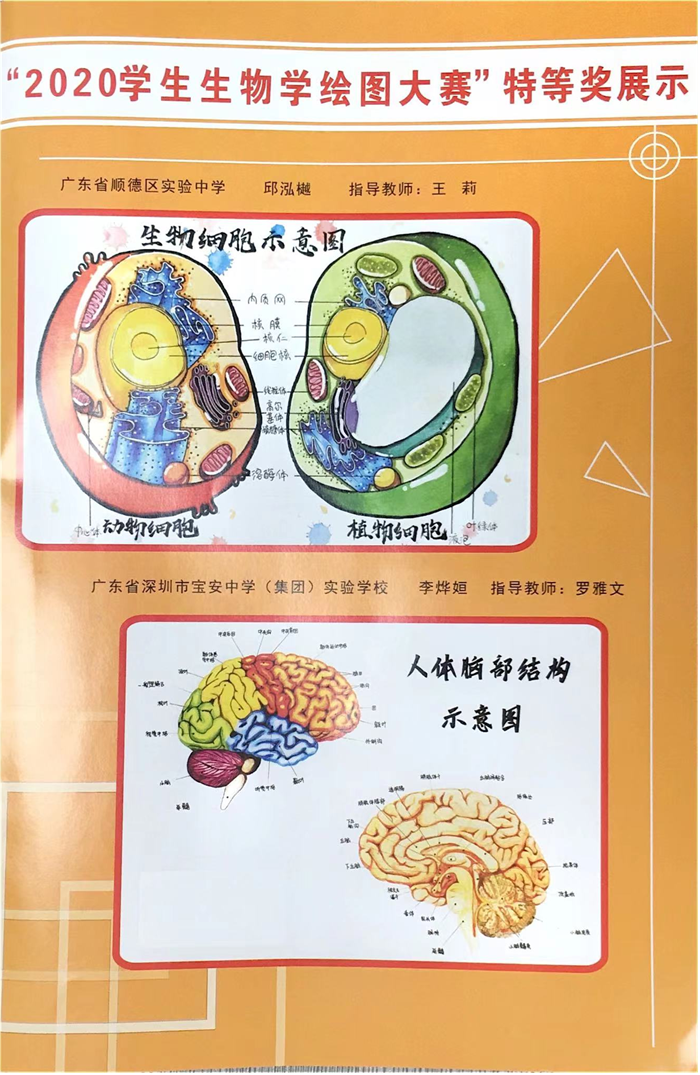 圖片3 - 副本.png