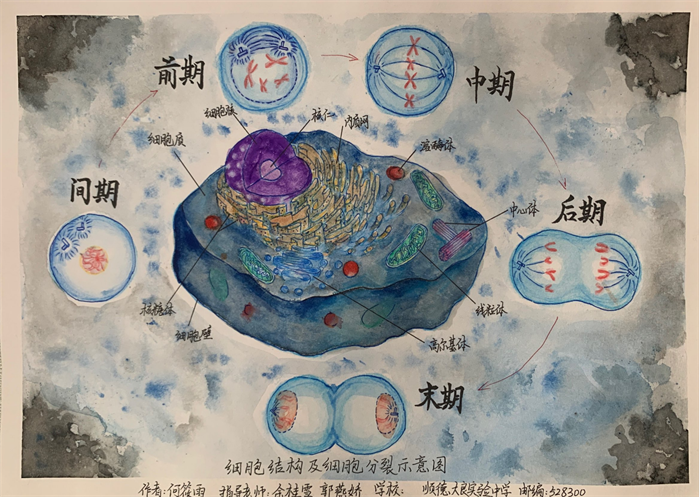 圖片11 - 副本.png