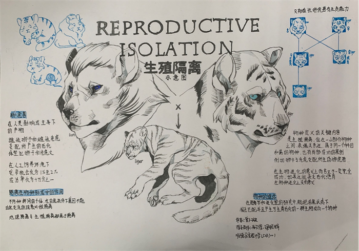 圖片9 - 副本.png