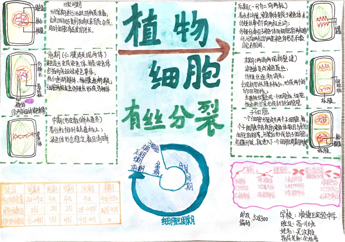 圖片13 - 副本.png