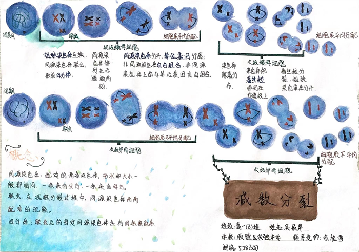 圖片12 - 副本.png