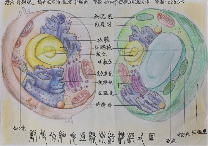 圖片17 - 副本.png