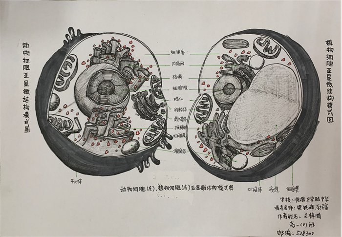 圖片21 - 副本.png