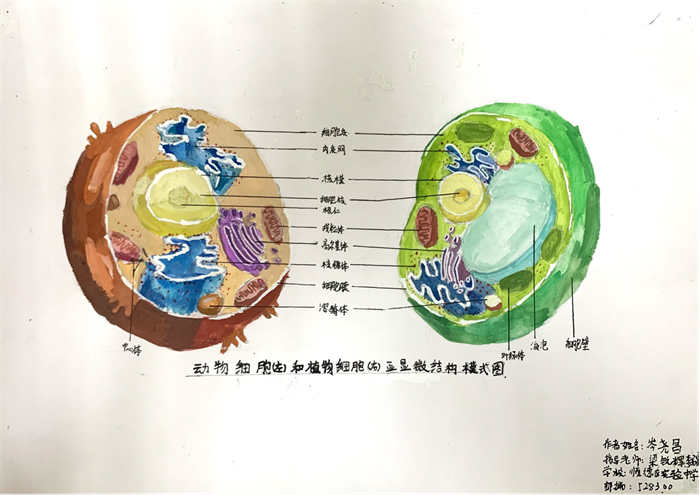 圖片19 - 副本.png