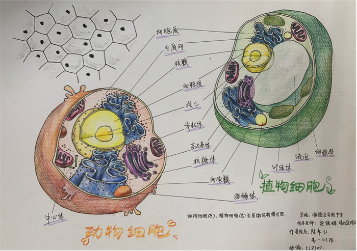 圖片20 - 副本.png