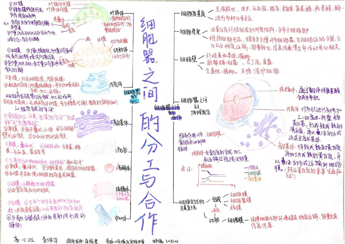 圖片25 - 副本.png