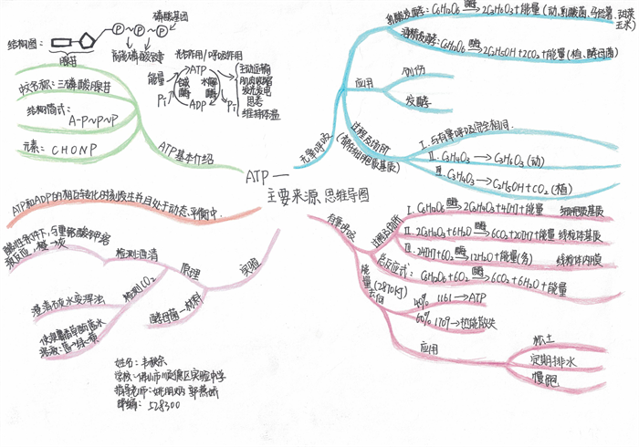 圖片26 - 副本.png