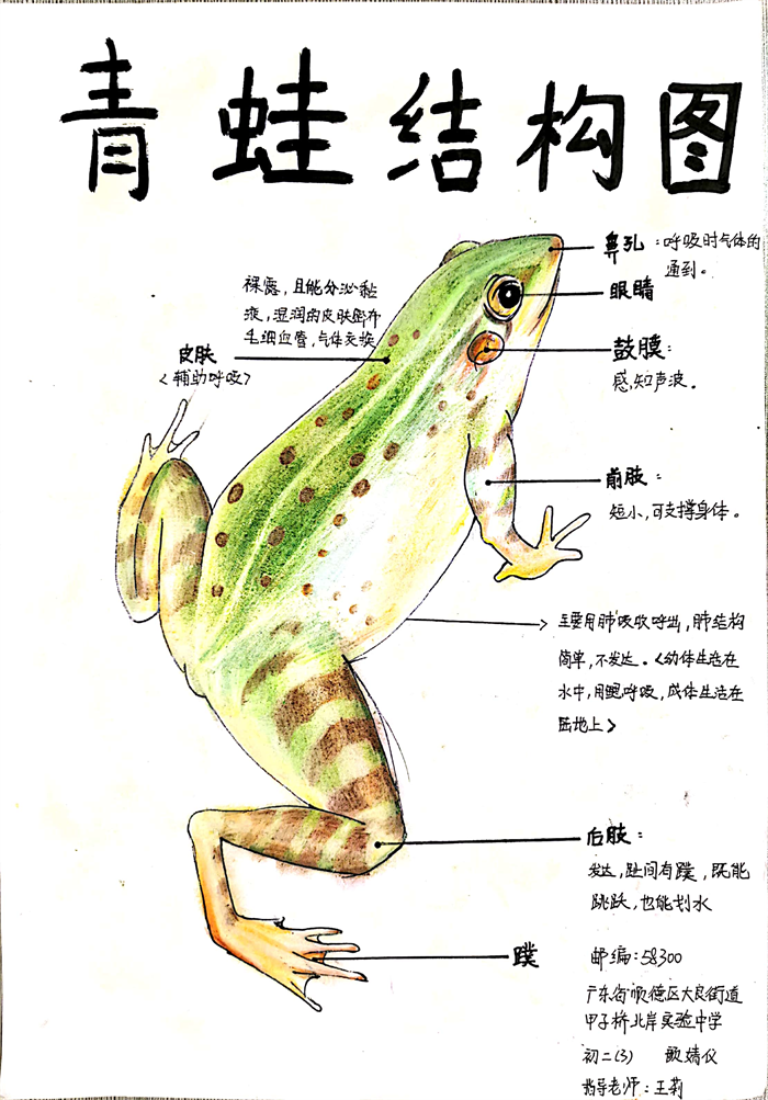 圖片28 - 副本.png