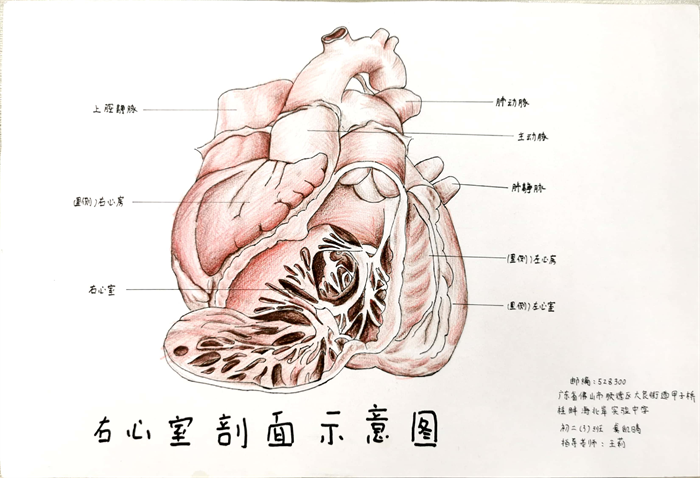 圖片38 - 副本.png