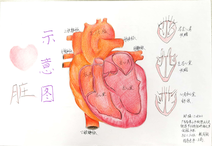 圖片42 - 副本.png