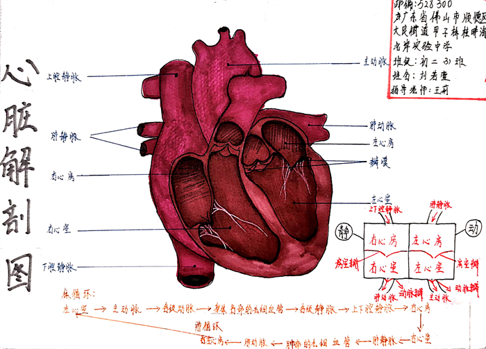 圖片39 - 副本.png