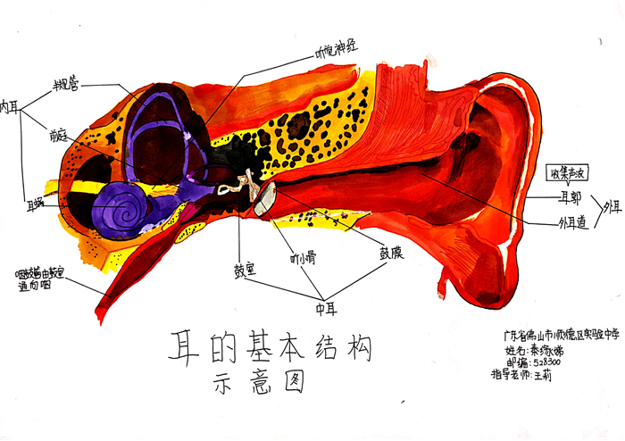 圖片47 - 副本.png