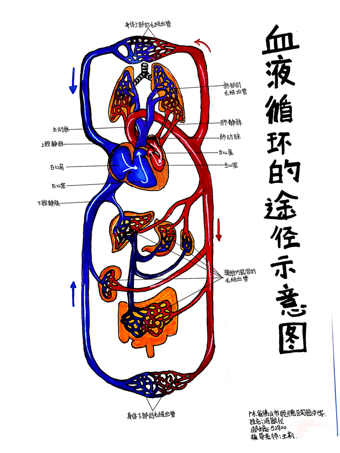 圖片50 - 副本.png