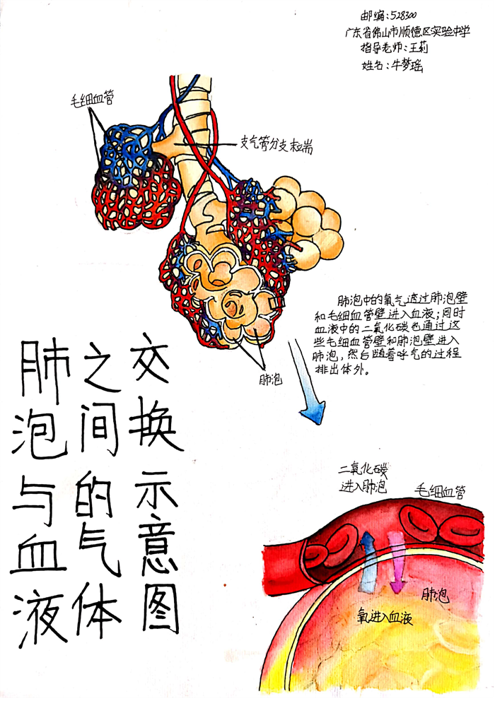 圖片49 - 副本.png