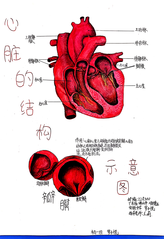 圖片46 - 副本.png