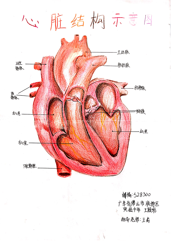 圖片45 - 副本.png
