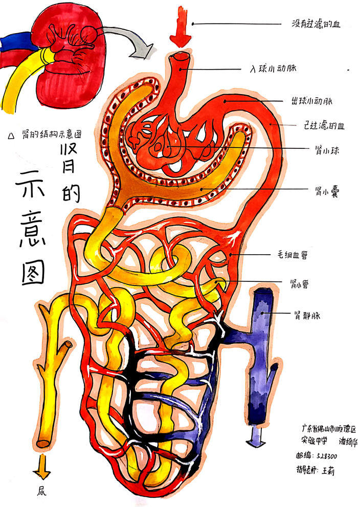 圖片51 - 副本.png