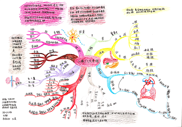 圖片54 - 副本.png